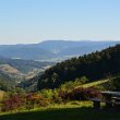 Schwarzwald 2022 - 036